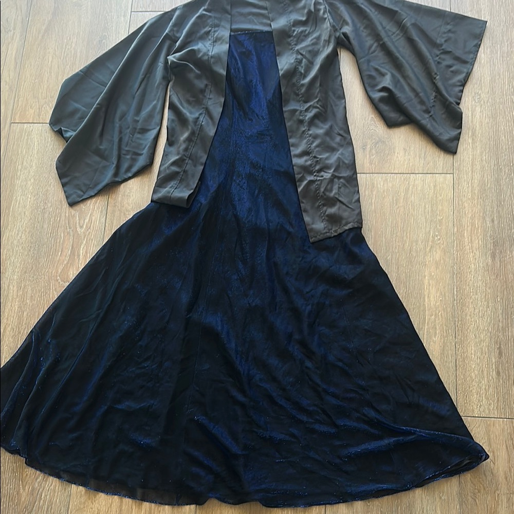 Lady Genevieve Elegant Black and shimmering Blue Dress. Great for a Halloween.